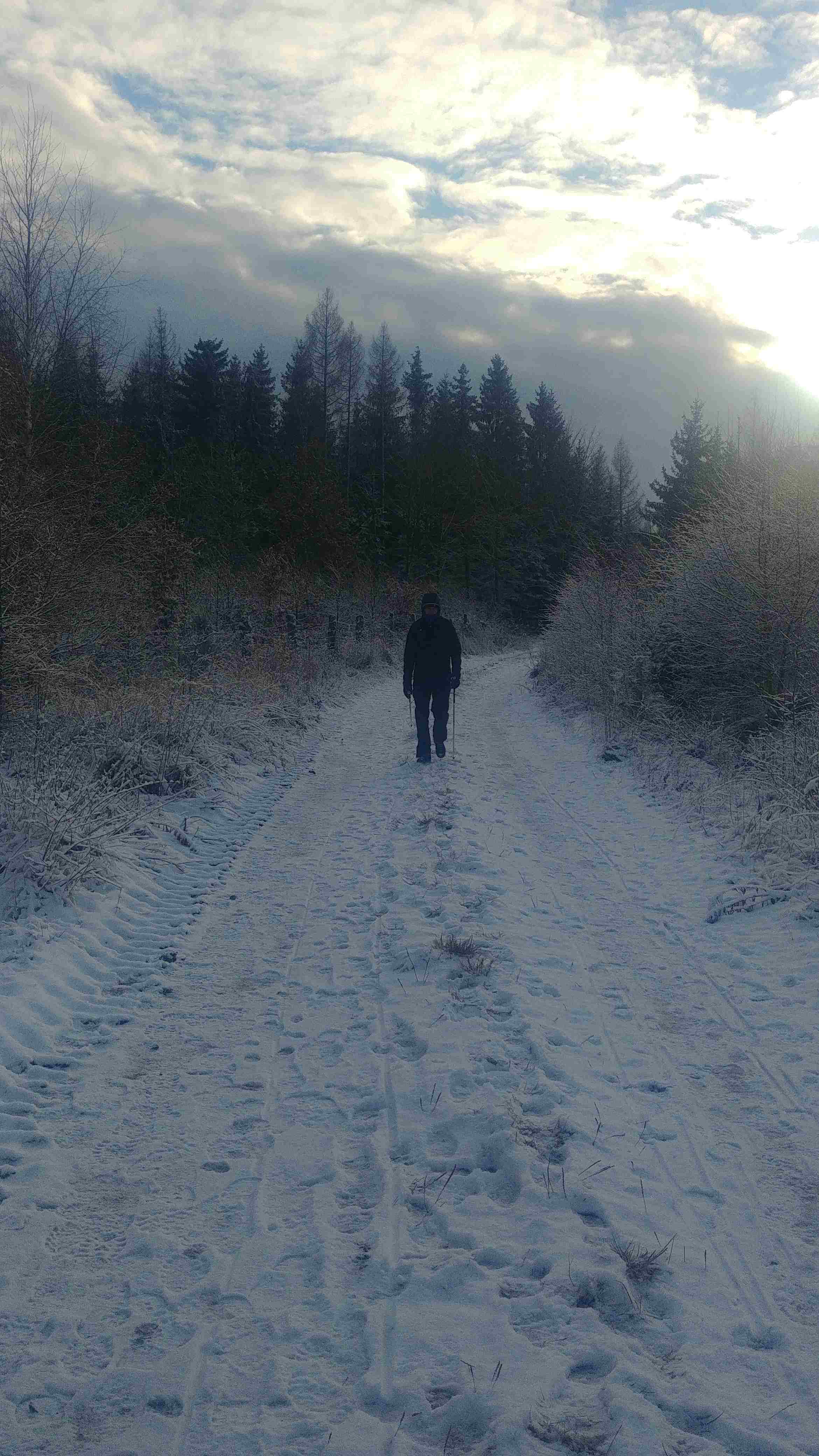 Nordic Walking w zimie
