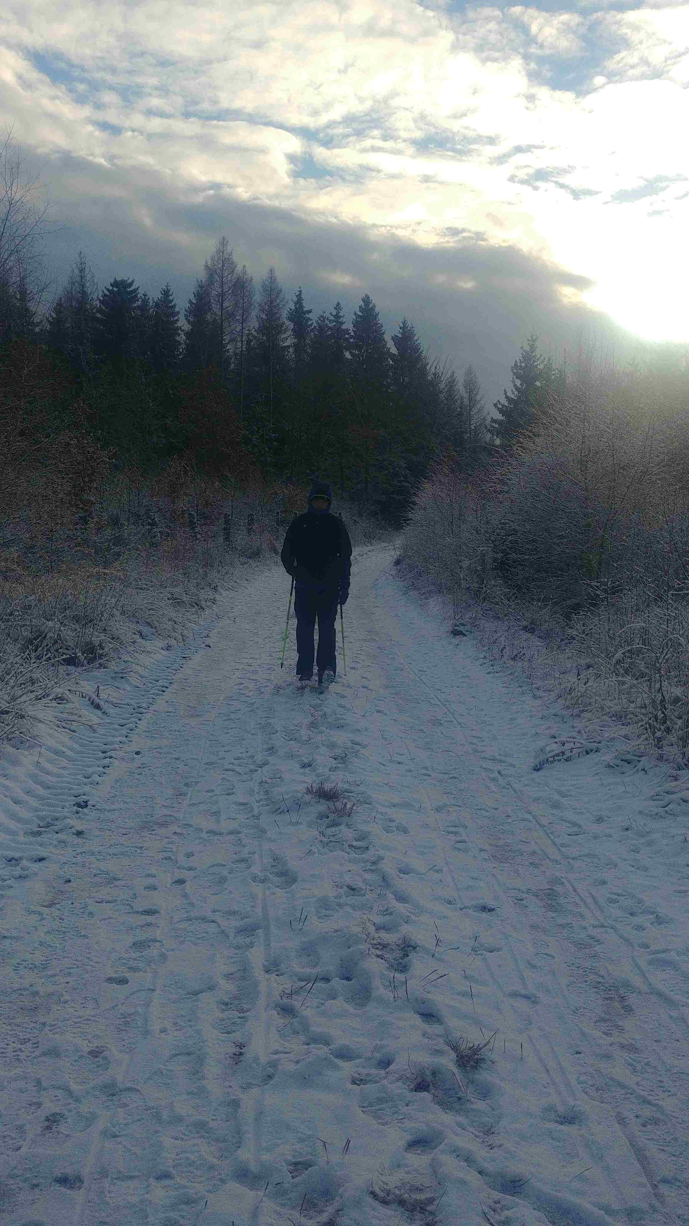 Nordic Walking po śniegu